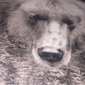 Meet your Posher, Shanley